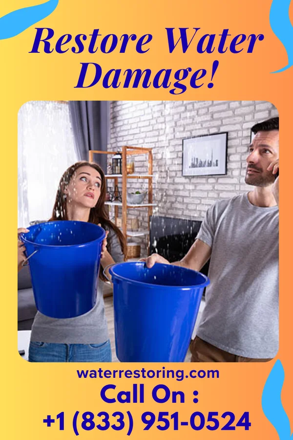 water restoration Total Damage Restoration LLC Philadelphia